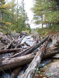 Creek along the portage to Wolk Lake