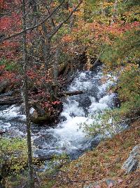 Water Falls and wading pool