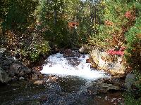 Creek along the portage to Dewdney Lake