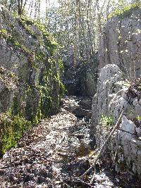 Spring creek on Gulch Hill