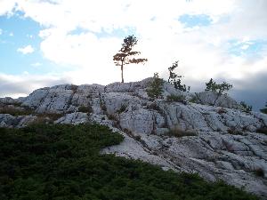 Nellie Lake Ridge