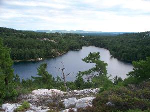 Nellie Lake hill view