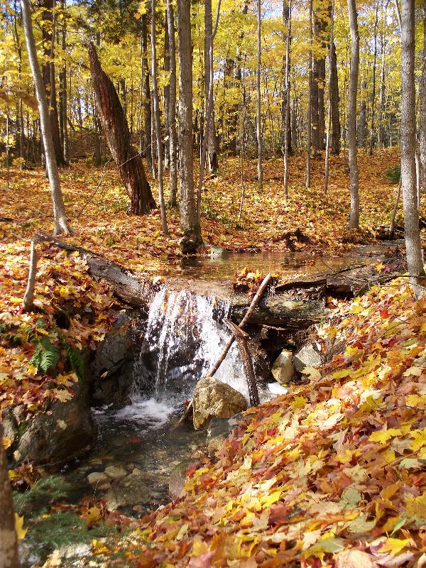 Late Fall creek on Silver Peak