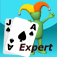 Blackjack Expert for iPhone