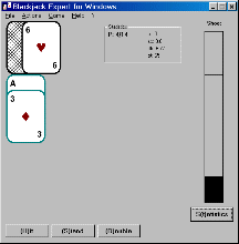 Blackjack Expert for Windows