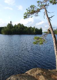 Island camp site on south Lady Evelyn Lake