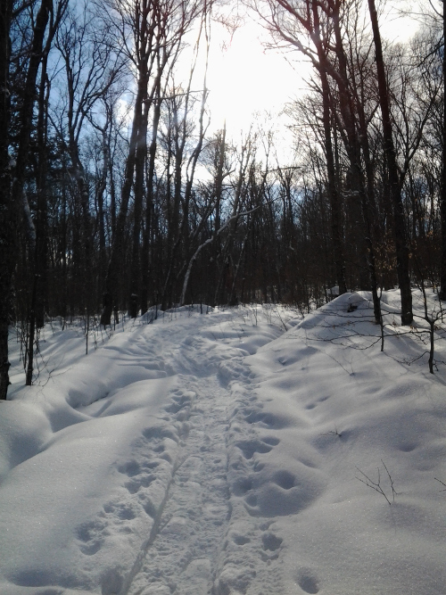 Snow shoe hike